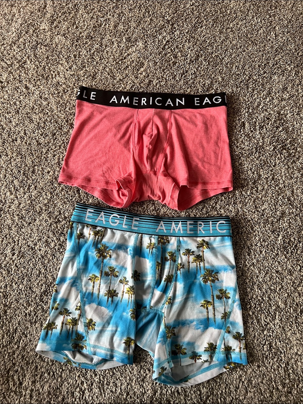 American Eagle Outfitters Pink Solid & Blue Palm-Print Boxer Briefs - 2-Pack